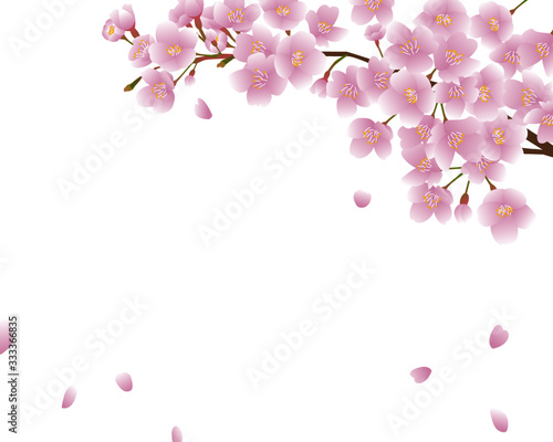 Wallpaper Mural Background of cherry blossom branches with falling petals Torontodigital.ca