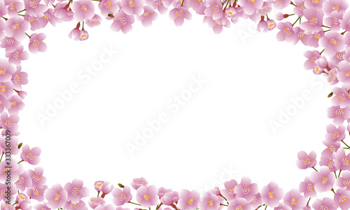 Wallpaper Mural A square surrounding frame with cherry blossoms all over Torontodigital.ca