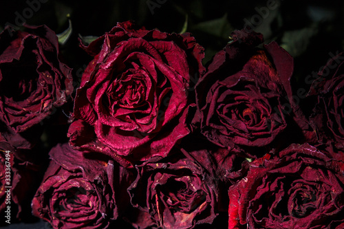 Dried red and pink rose buds on a dark background