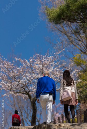 春の満開の桜の公園で花見している男女 © zheng qiang