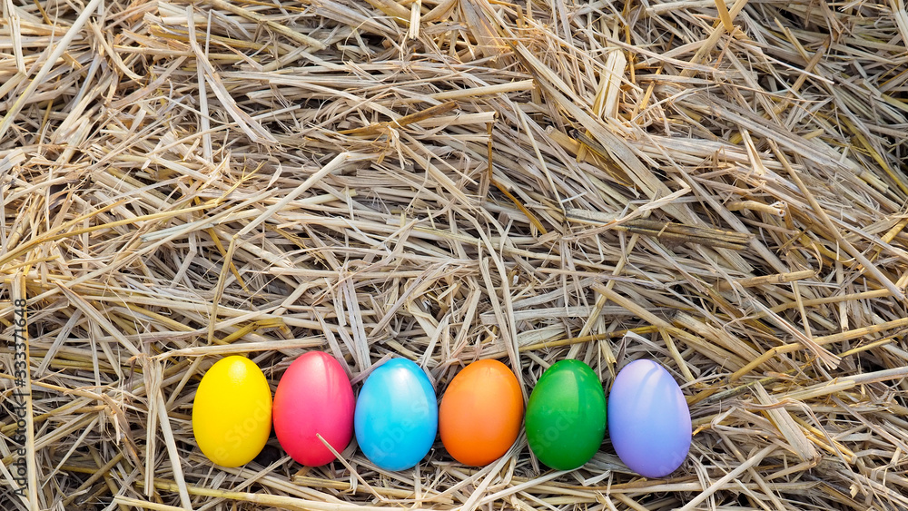 Easter egg in a straw Easter egg in a straw