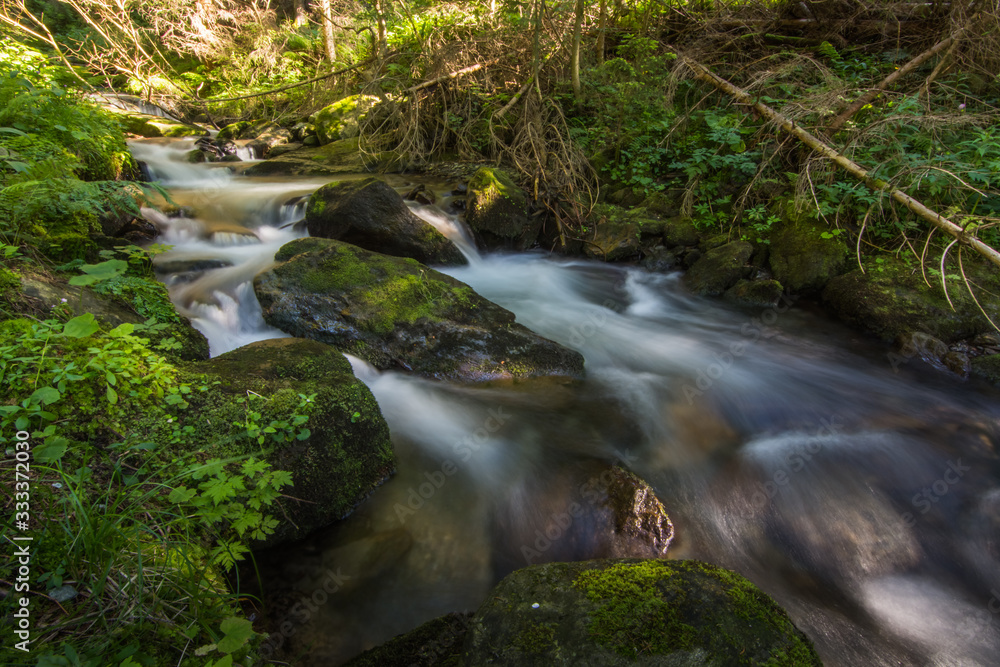 schoenes wasser von einem wildbach im wald