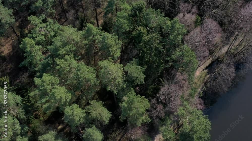 Aerial view of the mixed forest of firs, spruces, beeches and birches at the end of winter on the shore of a lake in the heath Aerial view of the mixed forest of firs, spruces, beeches and birches at the end of winter on the shore of a lake in the heath