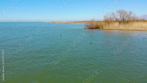 Quiet natural environment for wild birds migrating on lake shore and marshland with dry yellow reeds in Lake Scadar photo