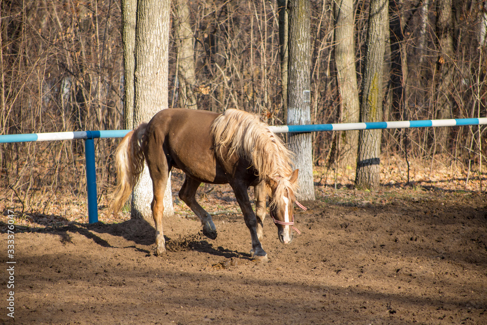 the red horse is on the move