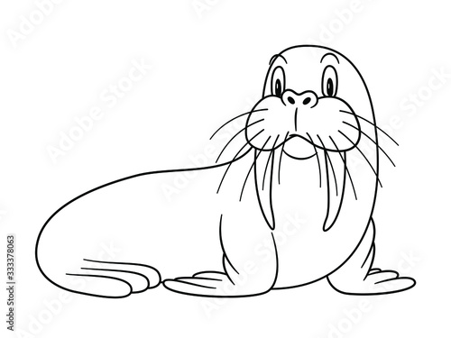 Cartoon Animal Walrus. Vector illustration. For pre school education, kindergarten and kids and children. Coloring page and books, zoo topic. With smiling happy face, friendly arctic and polar mammal
