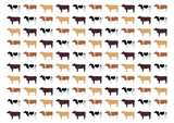 牛の模様の背景イラスト 
