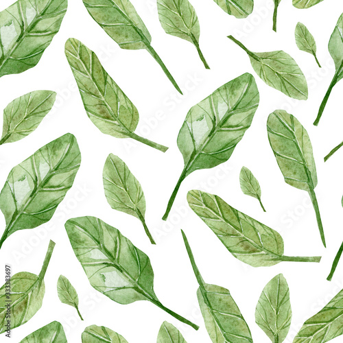 Hand painted Spinach. Watercolor seamless pattern healthy eco food. Greenery plants, healthy diet. © Anna
