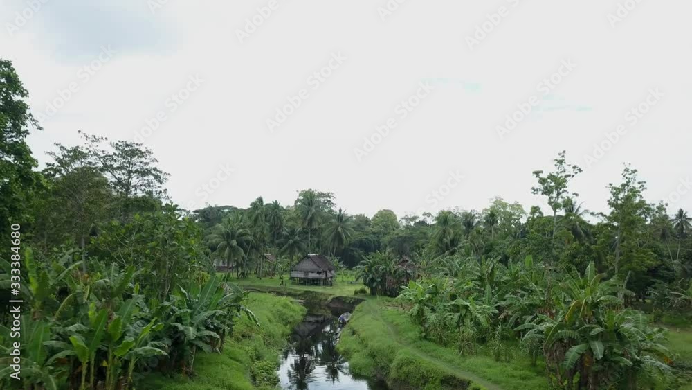 Aerial view moving forward shot, scenic view of a river, huts and palm trees in the background in Kanganaman Village, Sepik Region, Papua New Guinea Aerial view moving forward shot, scenic view of a river, huts and palm trees in the background in Kanganaman Village, Sepik Region, Papua New Guinea