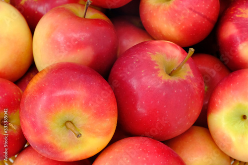 New Zealand apple on wooden background