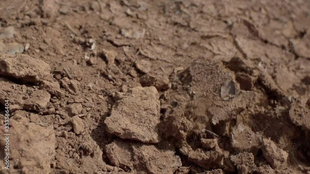 Ancient land, Indian desert, land dying of drought, red earth, all land in cracks Ancient land, Indian desert, land dying of drought, red earth, all land in cracks