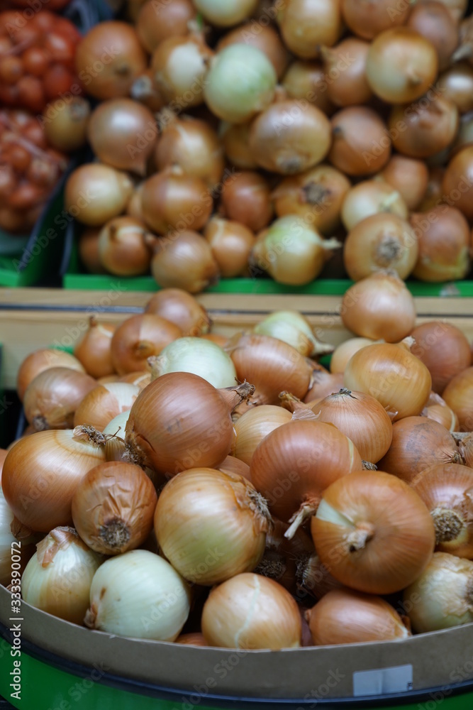 full frame onion on the market full frame onion on the market