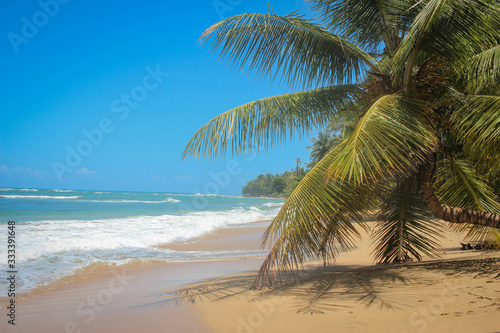 Plage De Manzanillo Proche De Puerto Viejo Au Costa Rica Stock Photo Adobe Stock