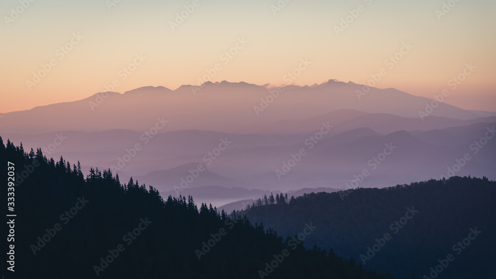 Sunrise in the Malá Fatra National Park with pine forest in the front and a mountain silhouette in the back