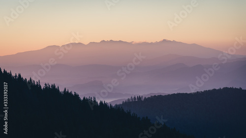 Sunrise in the Malá Fatra National Park with pine forest in the front and a mountain silhouette in the back © Kudar