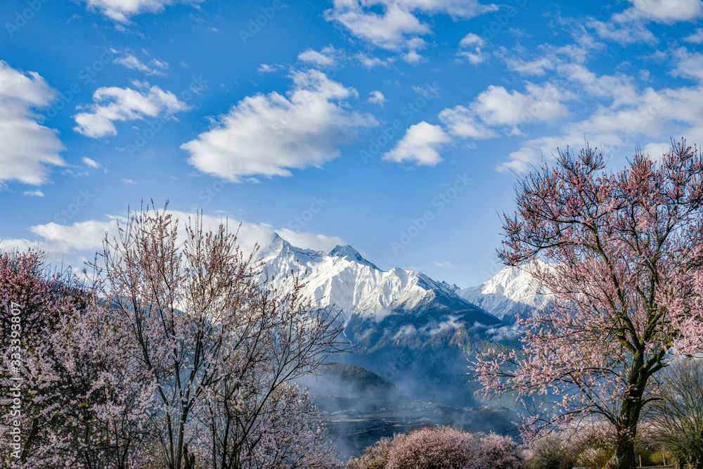 Nyingchi (Linzhi) landscape with peach blossoms in Tibet China. Nyingchi (Linzhi) landscape with peach blossoms in Tibet China.