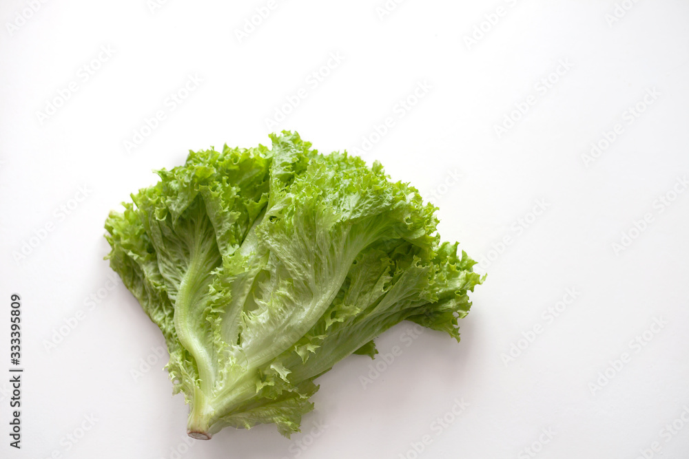 Salad leaf. Lettuce isolated on white background Salad leaf. Lettuce isolated on white background