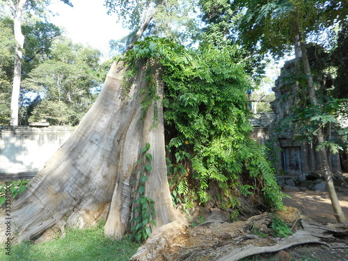 シェムリアップ、タプローム寺院
