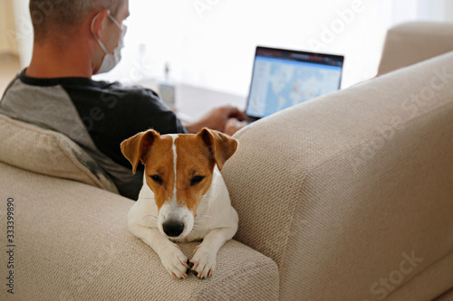 Close up shot of adult man working at home due to coronavirus quarantine concept. Male sitting on couch with his dog and laptop. Jack russell terrier puppy with owner. Background, copy space.