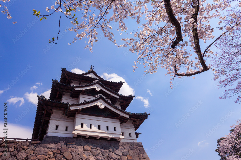 弘前公園の桜 弘前公園の桜