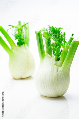 fenchel