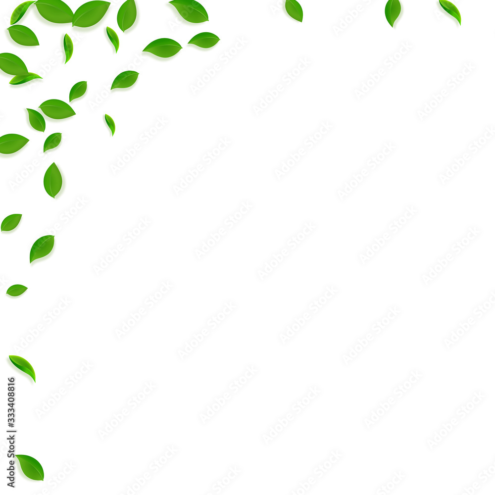 Falling green leaves. Fresh tea chaotic leaves fly Falling green leaves. Fresh tea chaotic leaves fly