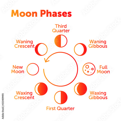 Moon Phases Icon Set