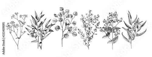 Set of hand drawn flowers, leaves and branches.