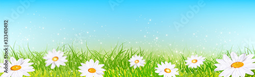 Daisy
