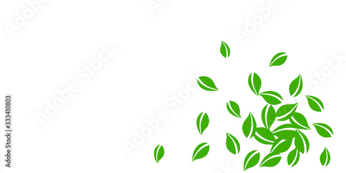 Falling green leaves. Fresh tea neat leaves flying