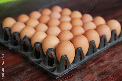 egg,foodeggs,food,food eggs