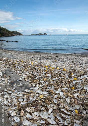 Thousands of empty shells of eaten oysters discarded on sea floor in Cancale, famous for oyster farms. Brittany, France