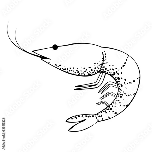 Shrimp in a simple style, isolated vector on white background. Single element with a black outline and dots texture, stylized as a hand ink drawing. Can be used for natural or cooking design.