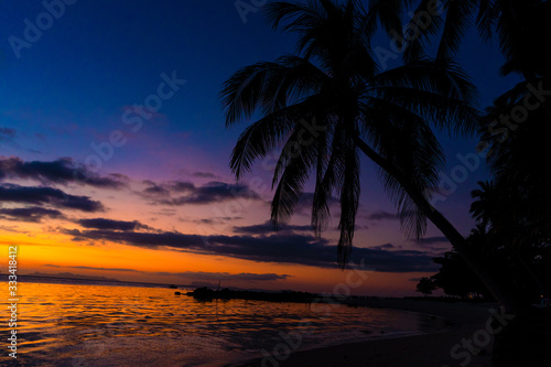 Colorful sunset on the ocean. Sunset meetings at the beach. Tropical sunset with palm trees