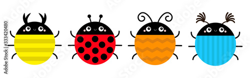 Beetle lady bug set line. Insect animal collection. Ladybug, ladybird. Funny horns. Cute cartoon kawaii smiling baby character. Education cards for kids. Isolated. White background. Flat design. photo