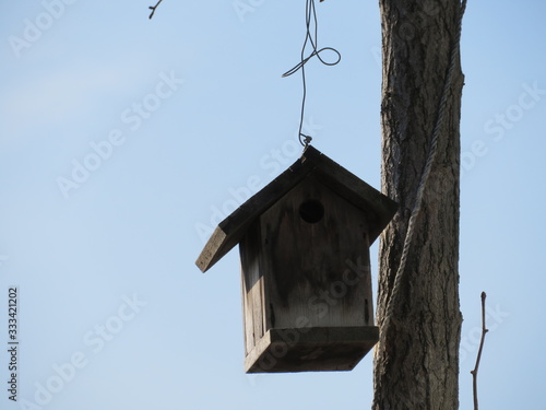 Bird house feeder hanging by a bare wire next to a thin tree trunk