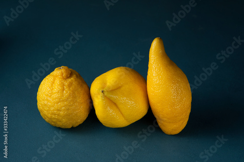 Three ugly lemons in a row on a dark blue textured background. Closeup. The concept is food waste reduction. Eating ugly or deformed fruits and vegetables. Copy space photo
