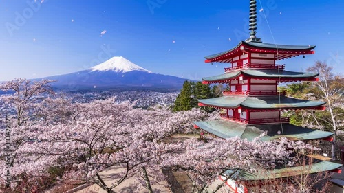 桜舞う新倉山浅間公園+舞い散る桜の花びらのCG / Scenery of 