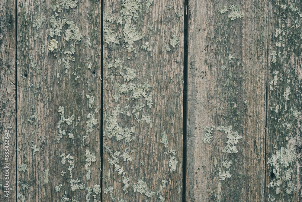 Naklejka premium Old wood plank texture grunge abstract background