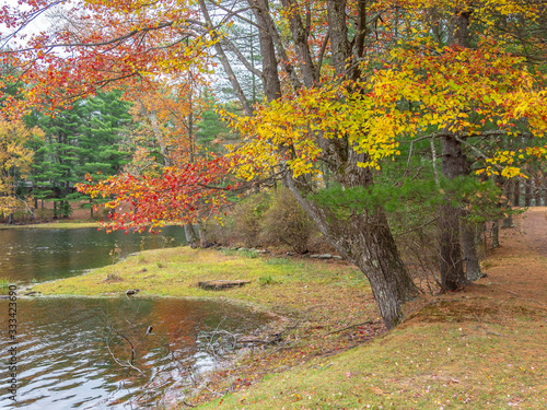 Fototapeta Naklejka Na Ścianę i Meble -  On small pond in Upstate New York