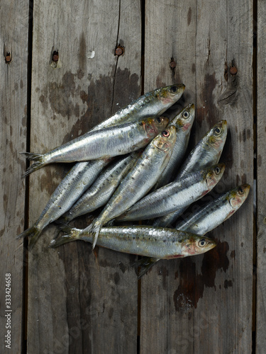 group of fresh sardines on wooden surface
