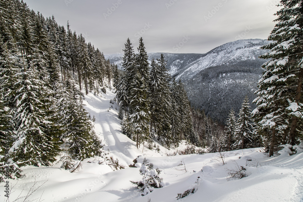 Beautiful winter landscape in Giant Mountains, Czech Republic
