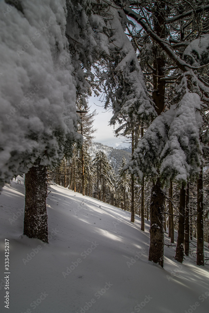 Beautiful winter landscape in Giant Mountains, Czech Republic