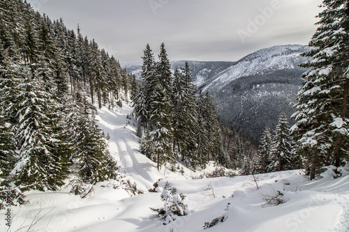 Obraz na płótnie Beautiful winter landscape in Giant Mountains, Czech Republic w salonie