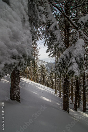 Beautiful winter landscape in Giant Mountains, Czech Republic