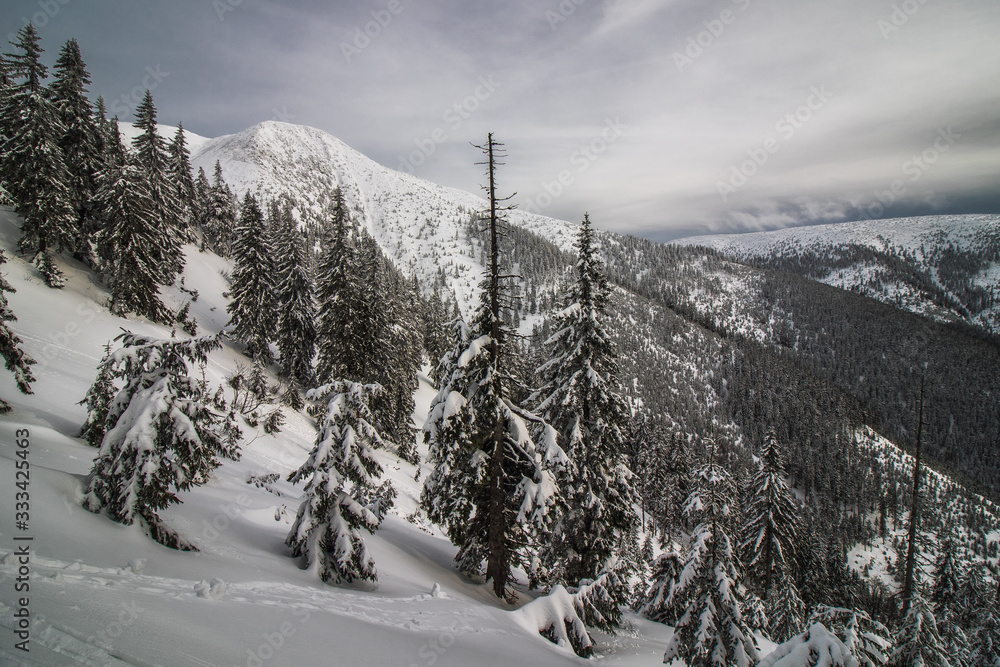 Beautiful winter landscapeby the Meadow Mountain in Giant Mountains, Czech Republic