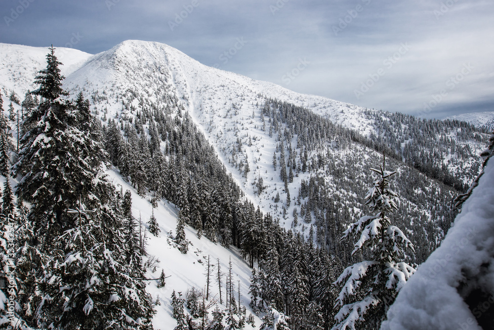 Beautiful winter landscapeby the Meadow Mountain in Giant Mountains, Czech Republic