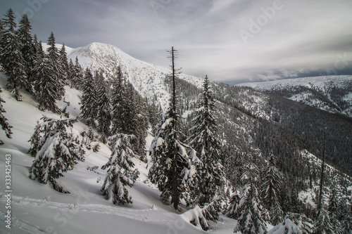 Obraz na płótnie Beautiful winter landscapeby the Meadow Mountain in Giant Mountains, Czech Republic w salonie