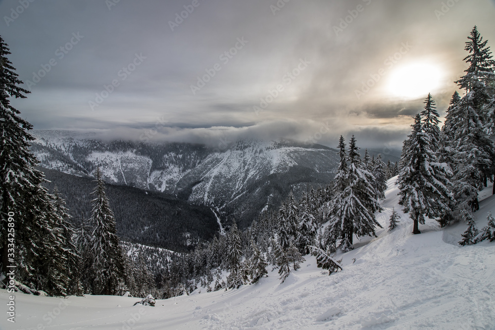 Wonderful winter landscape in Giant Mountains, Czech Republic