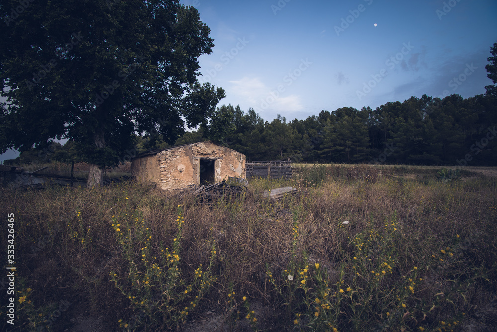 Abandoned house